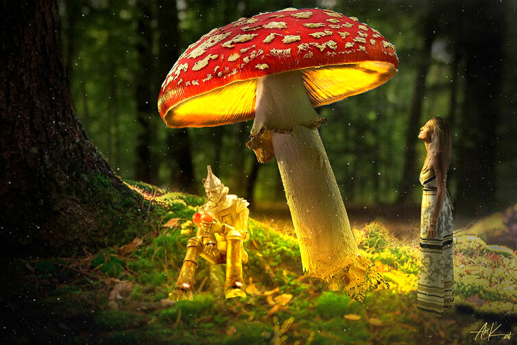 The mushroom light